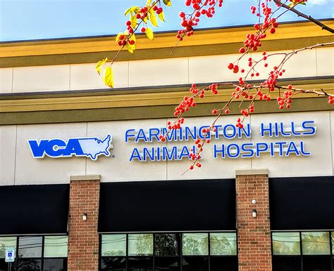 farmington hills animal hospital|More.